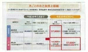 月ごとの自己負担上限額