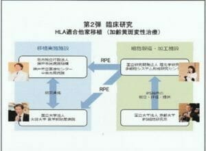 臨床研究の組織関係図