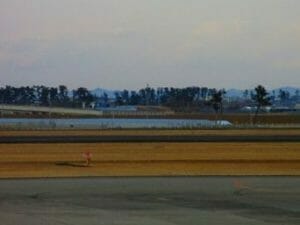 仙台空港からみた風景：松林の先に海