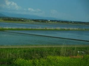 八郎潟の水田