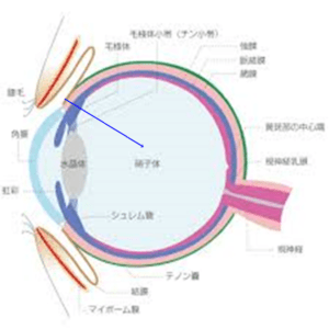 注射の深さ