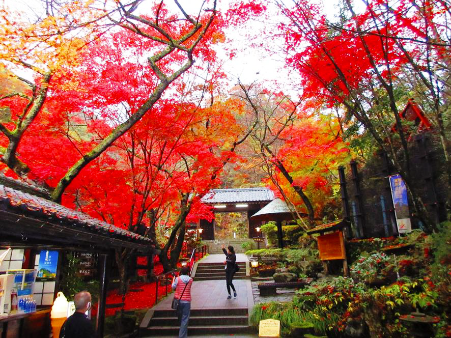 金鉱山の出口にあった紅葉