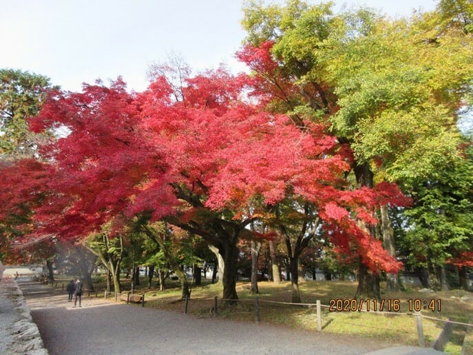 南禅寺