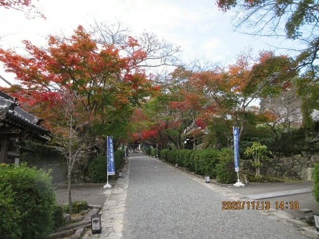 明智光秀ゆかりの地、坂本にある西教寺