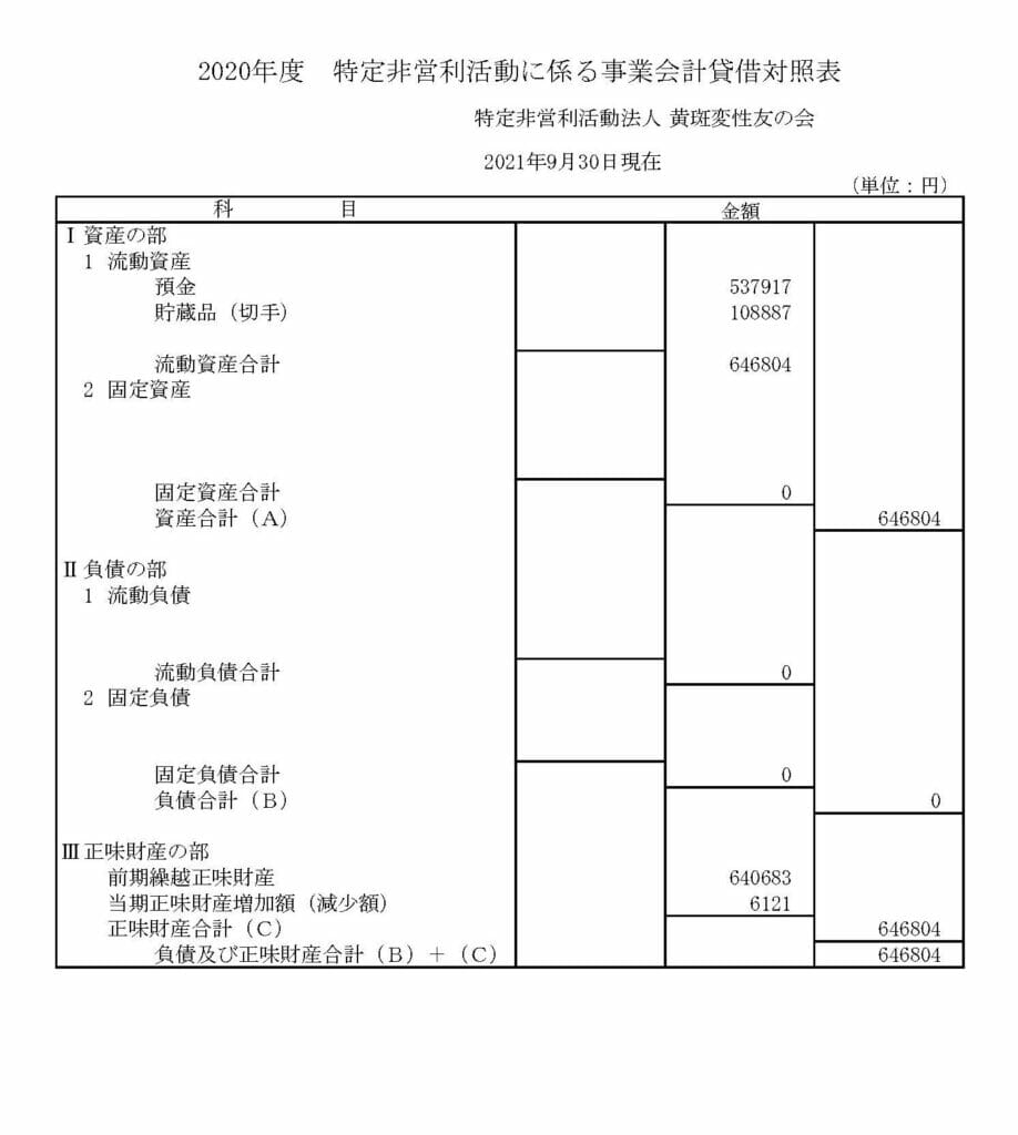 2020年特定非営利活動に係る事業会計貸借対照表