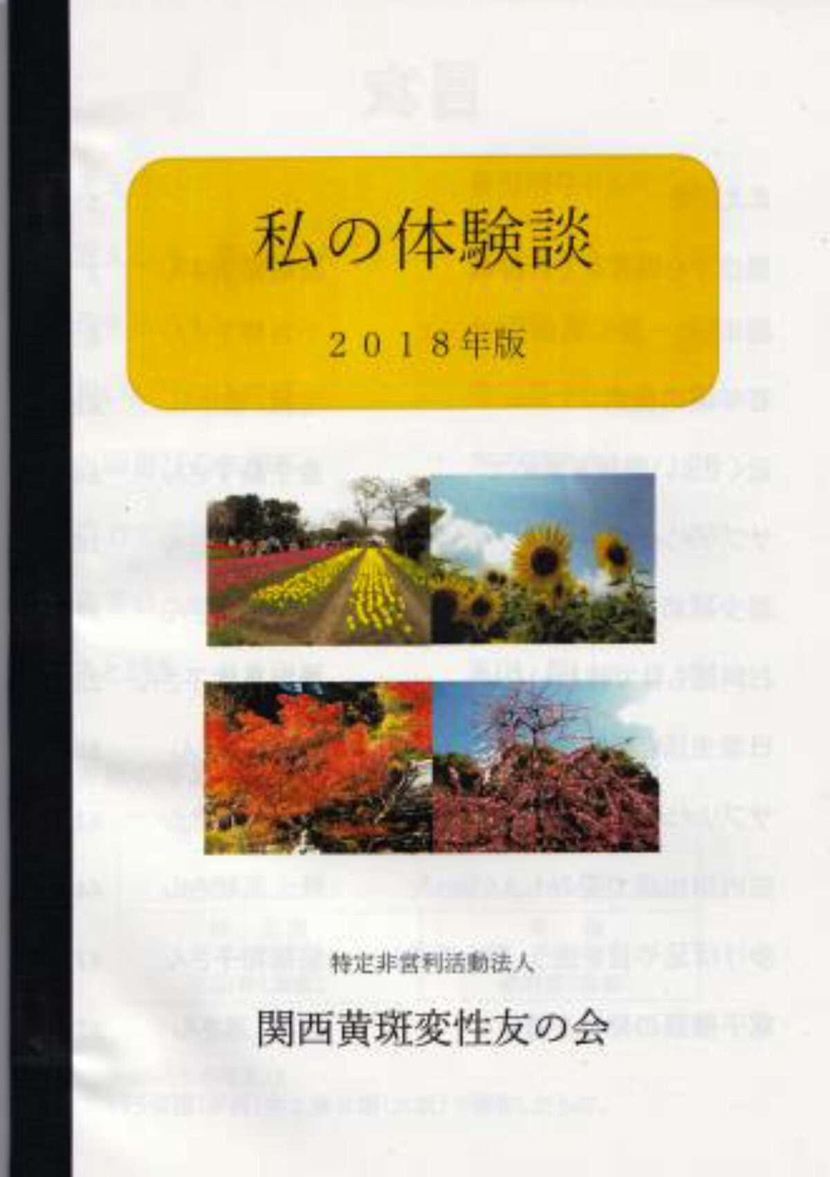 加齢黄斑変性 第2版　裁断済み　匿名配送 加齢黄斑変性 第2版 | 書籍詳細 | 書籍 | 医学書院